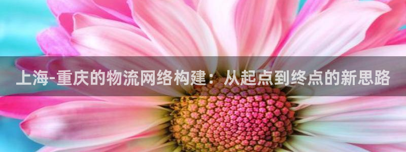 ,优游国际加拿大最新版：上海-重庆的