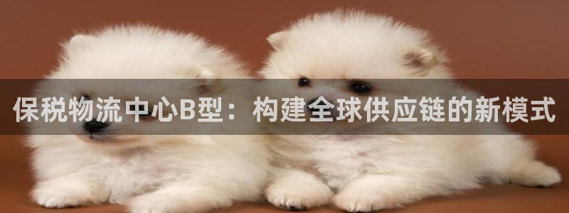 ,优游国际app注册地址：保税物流中