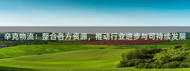 ,优游国际官网下载链接是什么网站：辛