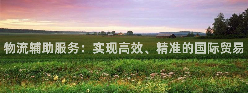 ,优游国际模拟器下载：物流辅助服务：
