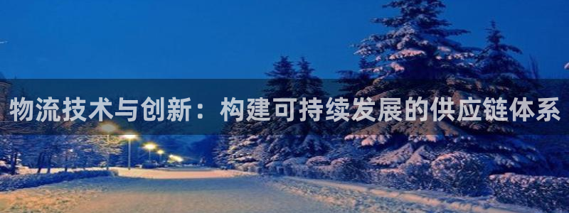 ,优游国际模拟：物流技术与创新：构建