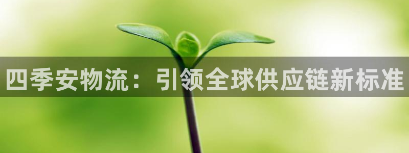 ,优游国际系统自动保护：四季安物流：