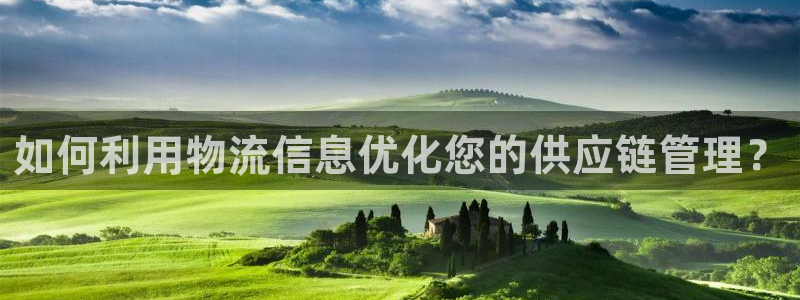 优游国际官网入口官网：如何利用物流信