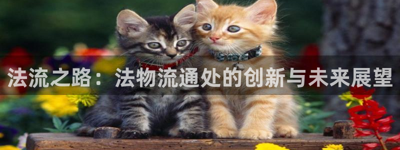 ,优游国际注册入口与教程：法流之路：