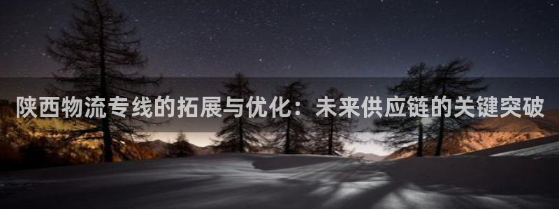 ,优游国际加拿大下载：陕西物流专线的