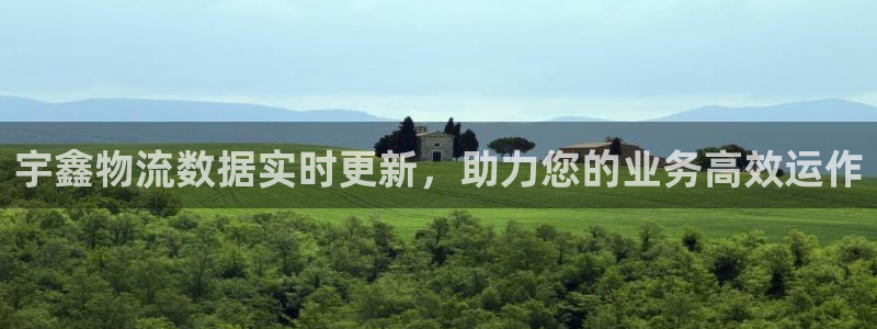 ,优游国际哪个最赚钱：宇鑫物流数据实