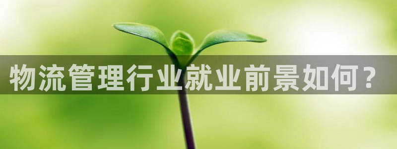 优游国际官网下载加拿大：物流管理行业