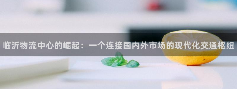 ,优游国际里的财神：临沂物流中心的崛起：一个连接国内外市场的