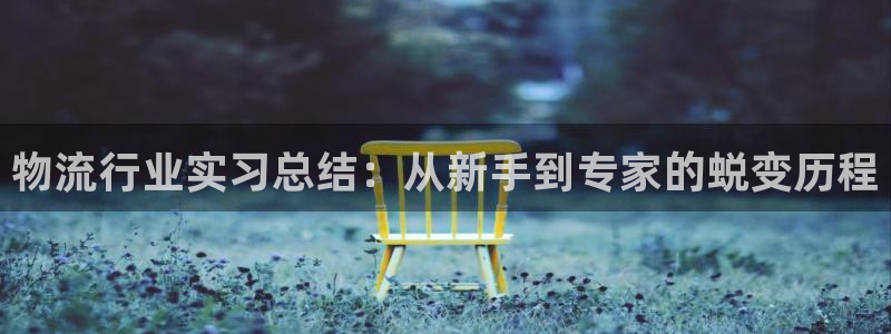 优游国际官方网站预测：物流行业实习总