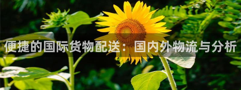 ,优游国际网赌有什么风险：便捷的国际