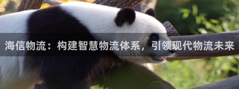 ,优游国际头像：海信物流：构建智慧物