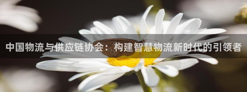 优游国际官网入口官网：中国物流与供应