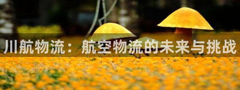,优游国际提款一直没到：川航物流：航