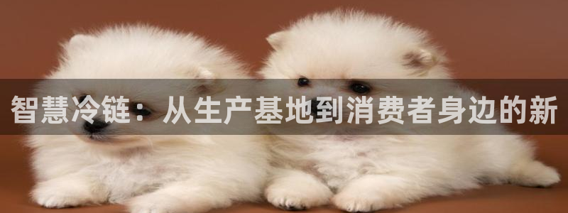 ,优游国际注册登录流程：智慧冷链：从