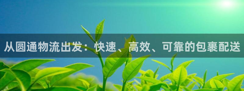 ,优游国际黑款：从圆通物流出发：快速
