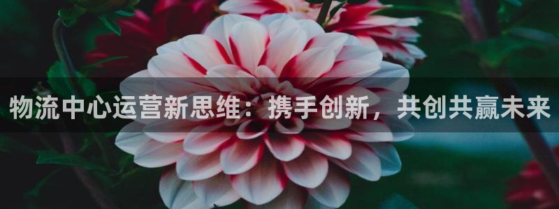 ,优游国际aPP退款:物流中心运营新