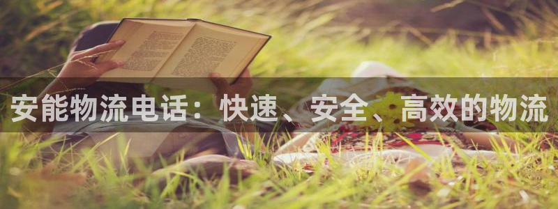 南宫,优游国际怎么注册:安能物流电话