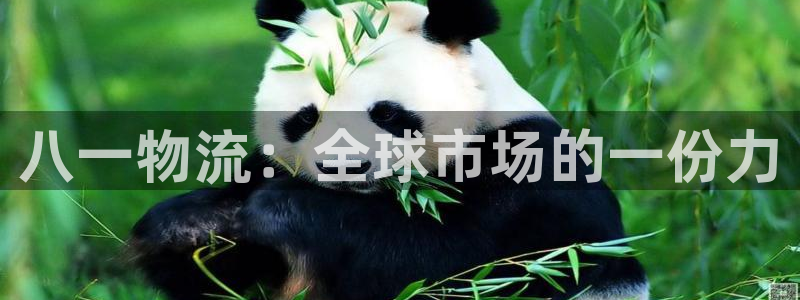 南宫,优游国际官网版:八一物流:全球