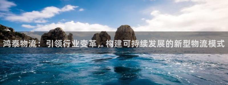 ,优游国际充值金额随便：鸿泰物流：引