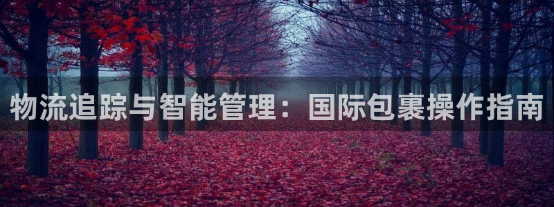 ,优游国际加拿大技巧:物流追踪与智能