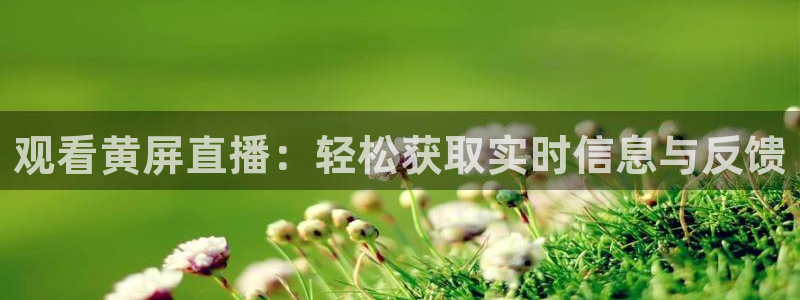 jrkan低调看高清直播nba：观看黄屏直播：轻松获取实时信息与反馈