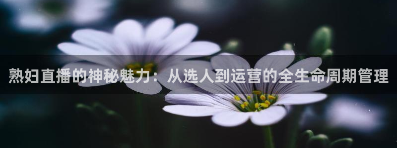 jrkan2022直播体育网：熟妇直播的神秘魅力：从选人到运营的全生命周期管理