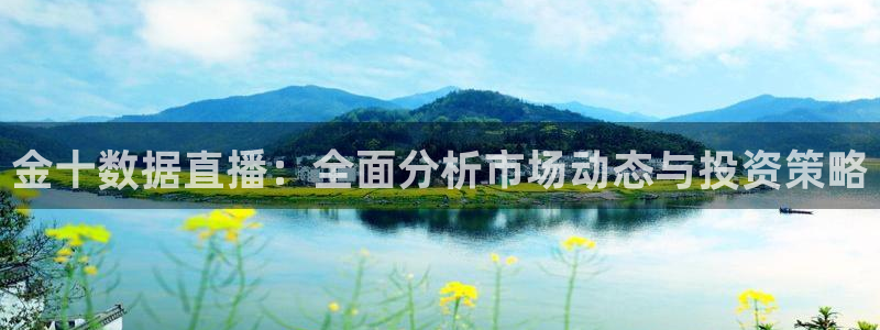 jrkan篮球直播：金十数据直播：全面分析市场动态与投资策略